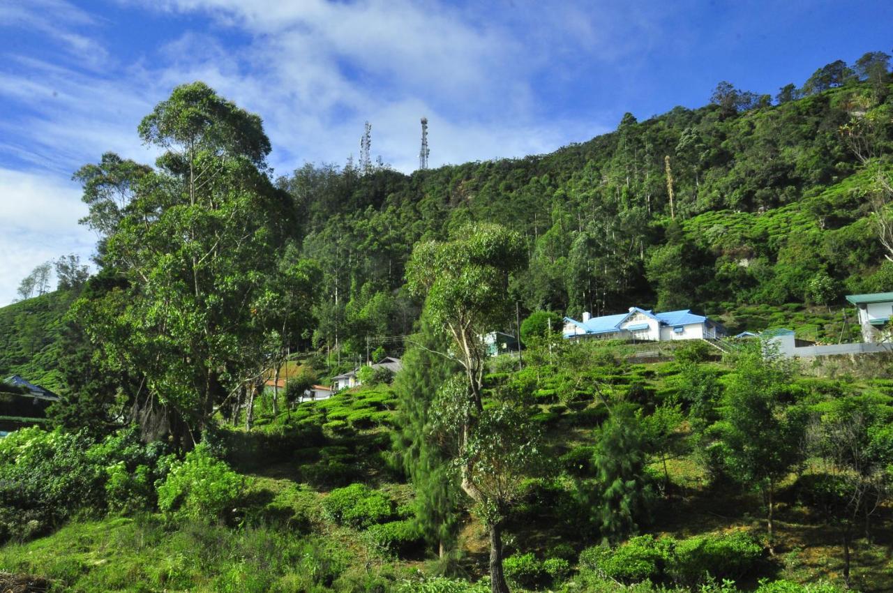Summer Glow Guest - Nuwara Eliya Kültér fotó